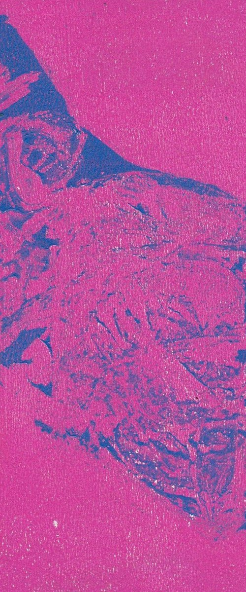 Tropical by Adam Grose MA PGCE