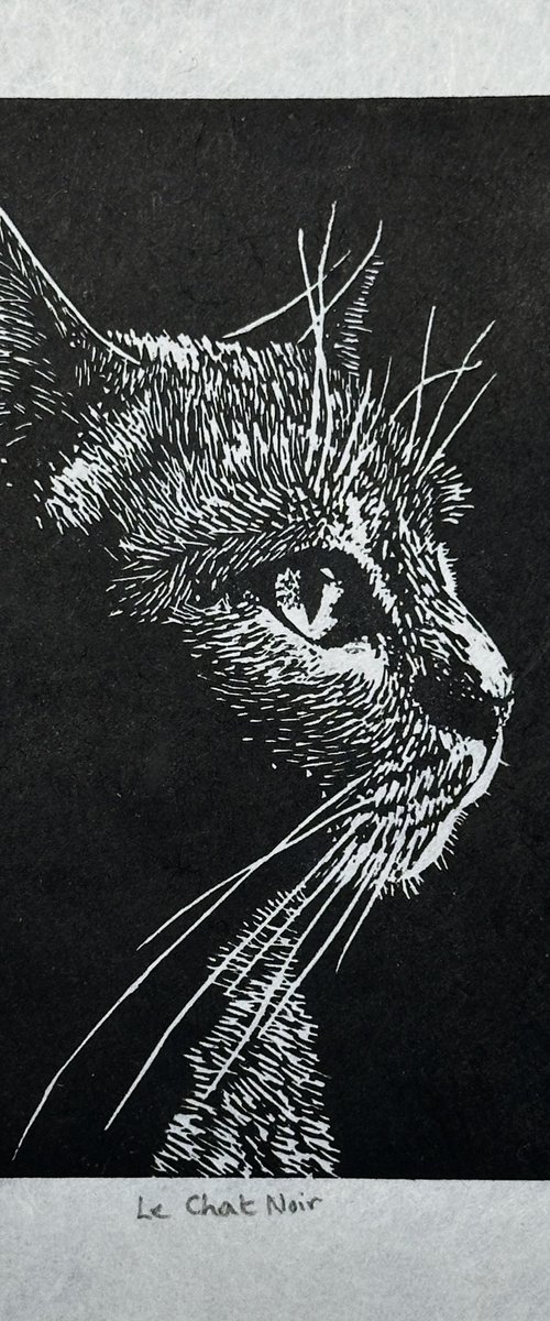 Le Chat Noir by Kaz Jones