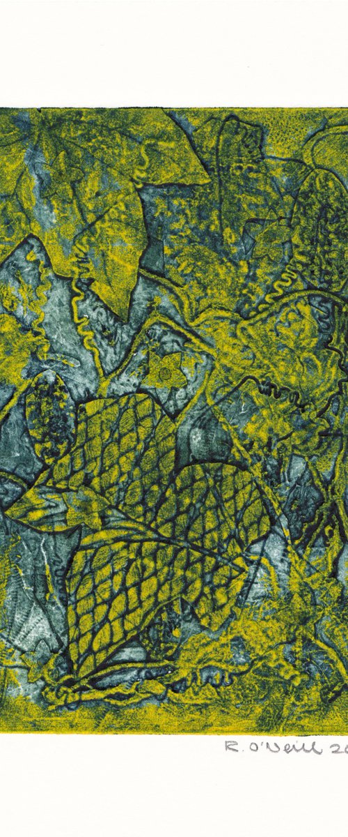 Cucamelon 3 by Rory O’Neill