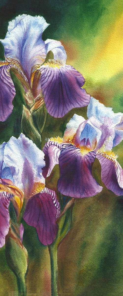 Sun In The Petals by Maryna Boiko