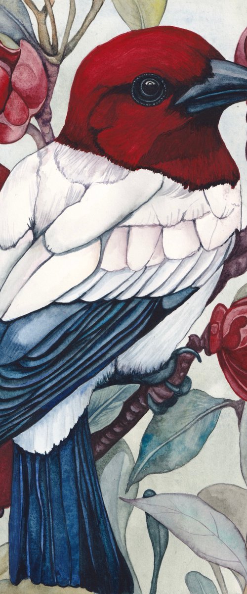 Crimson Headed Bird by Lisa Lennon