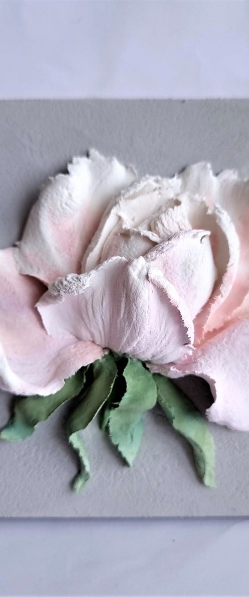Relief white-pink rose by Irina Stepanova