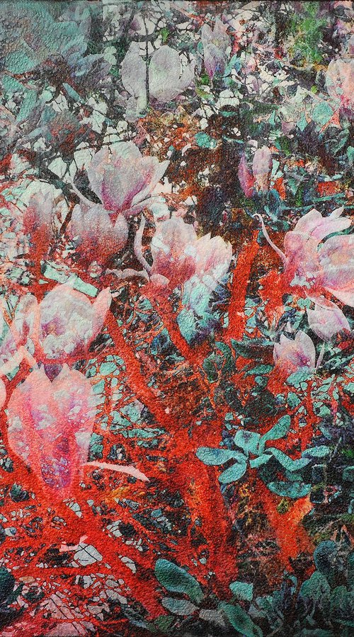 Magnolia by Karin Vermeer