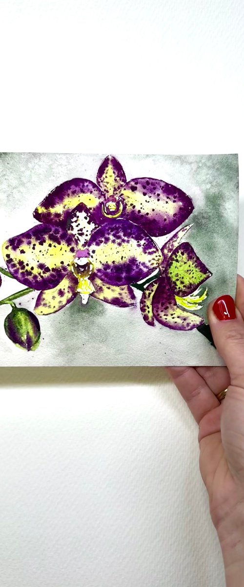 Wild orchid flower Orchid by Yuliia Sharapova