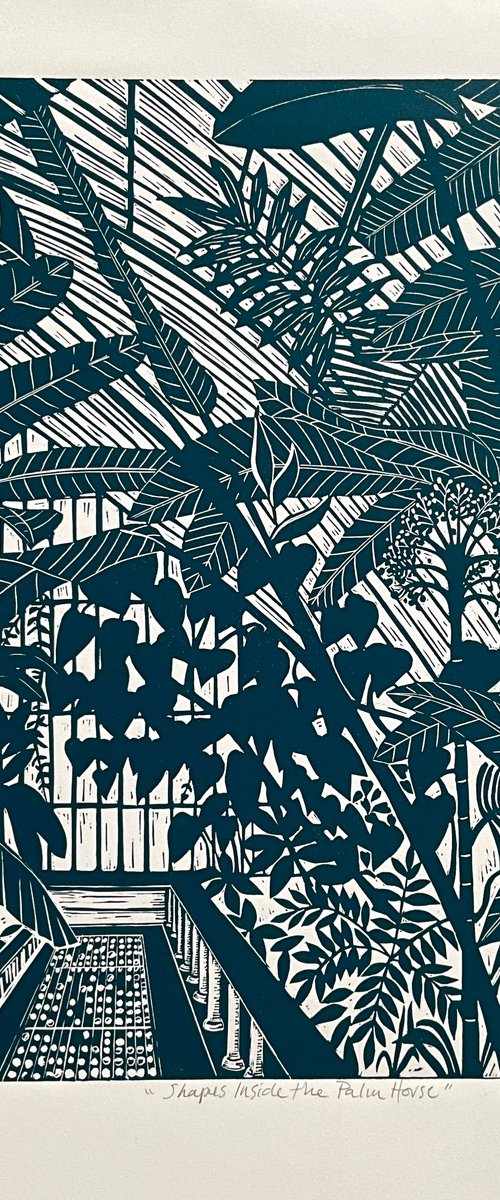Shapes Inside the Palm House by Alison  Headley