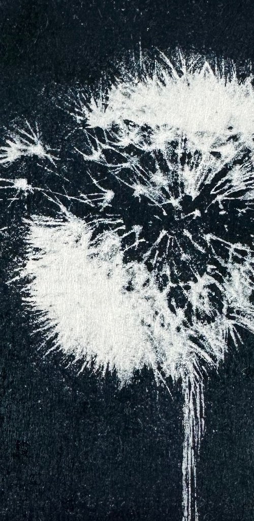 Dandelion Clock by Diane McLellan