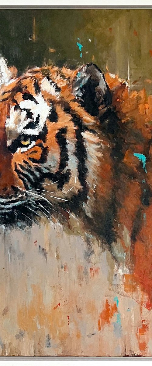 Aurelius by Shaun Burgess