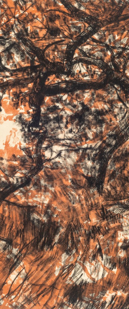 Domesday Oak by Fiona Hamilton