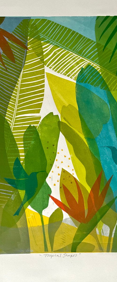 Tropical Shapes by Alison  Headley