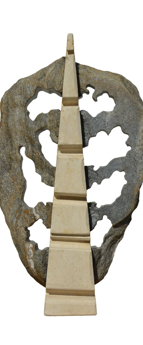 "Reed" by Ognyan Chitakov