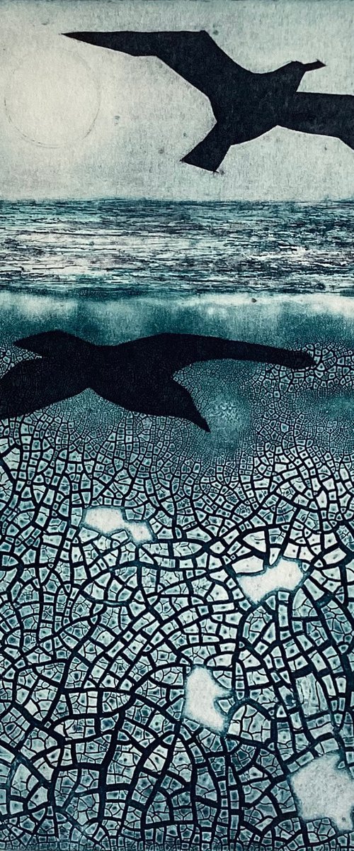 Searching by Sue  Roe