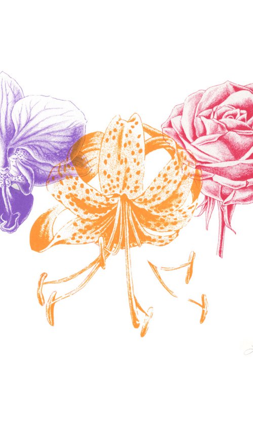 Orchid, Lily &amp; Rose by Louise Boulton
