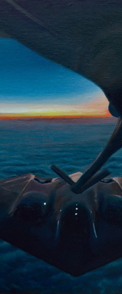 B-2 Spirit by Roman Sedlak