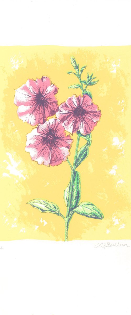 Petunias by Louise Boulton