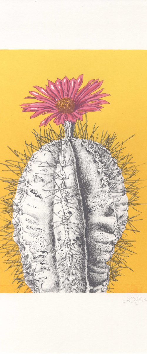 Cactus by Louise Boulton