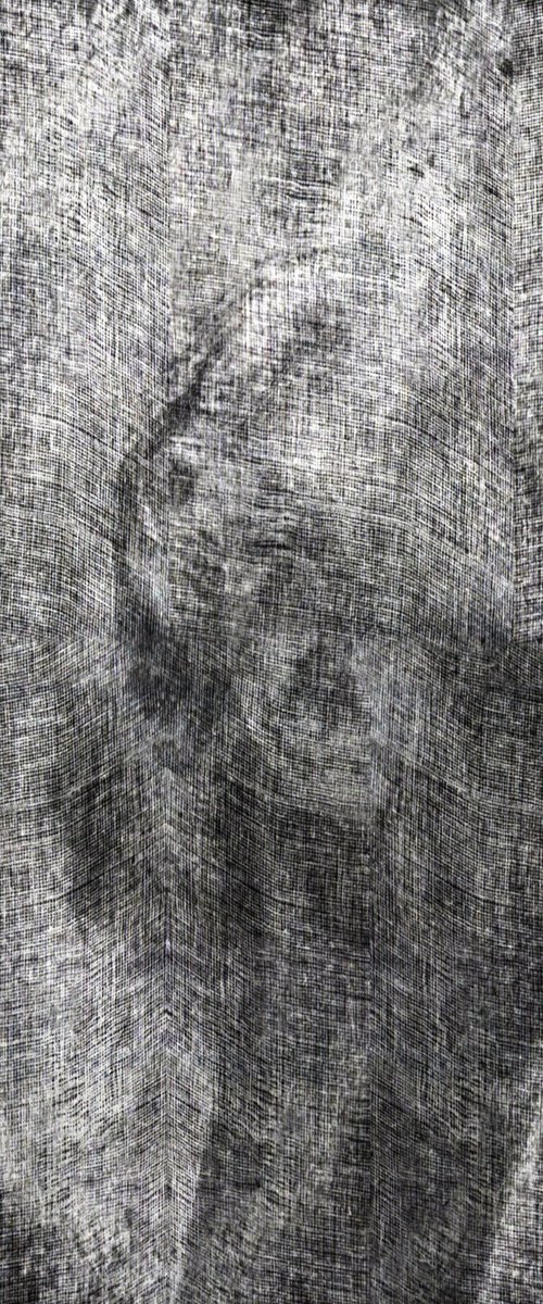 Moddy...... by PHILIPPE BERTHIER