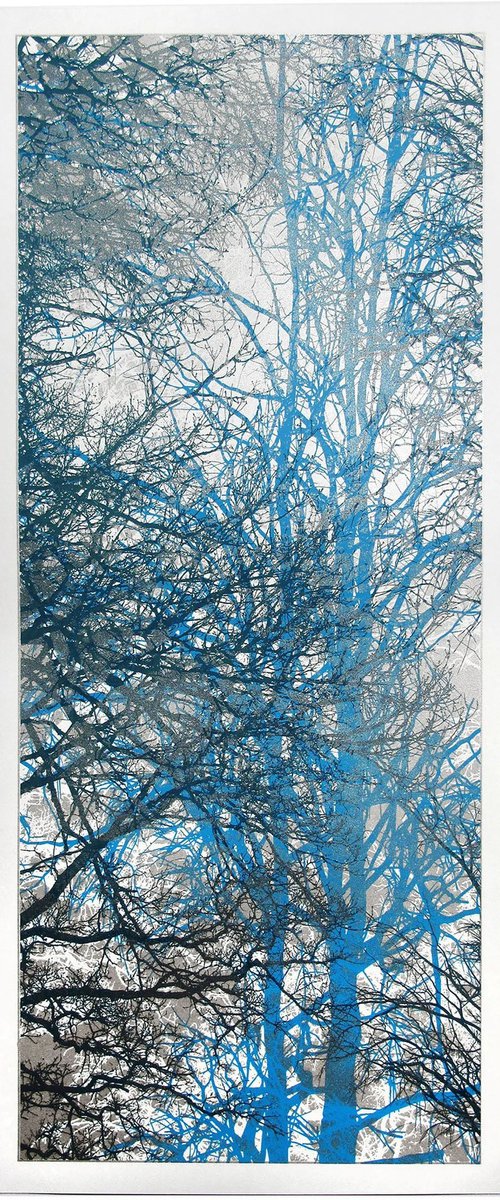 Silverwood by Chris Keegan