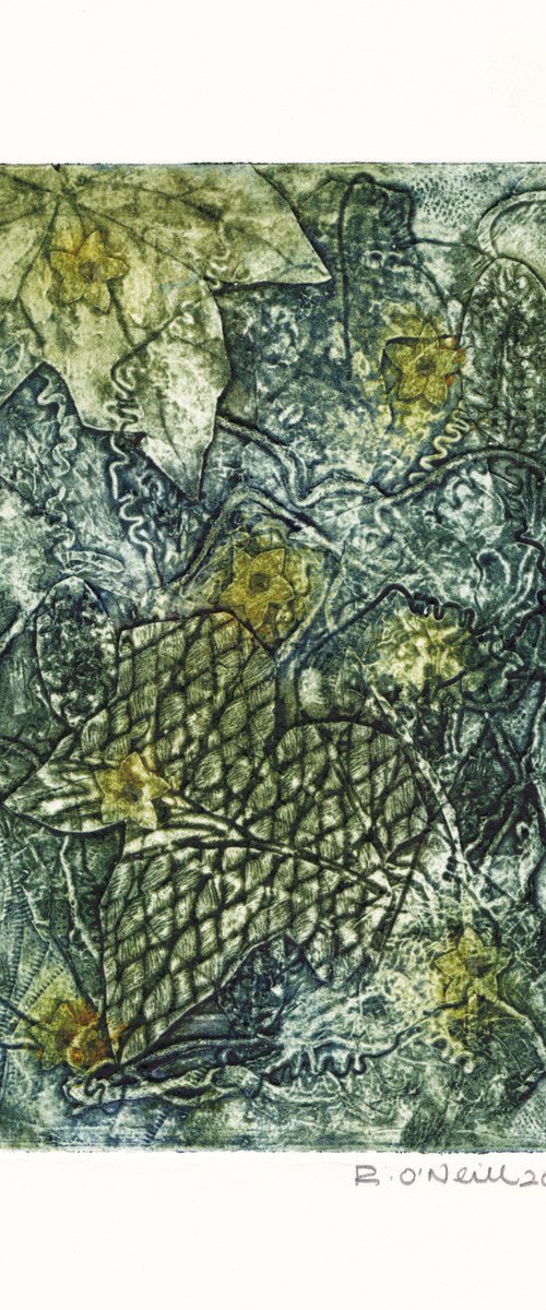 Cucamelon 2 by Rory O’Neill