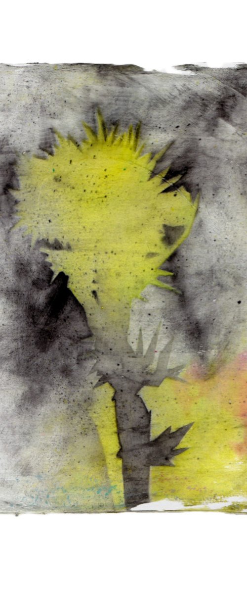 Thistle by Adam Grose MA PGCE