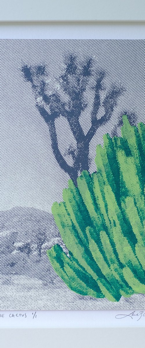 Behind the cactus by Lene Bladbjerg