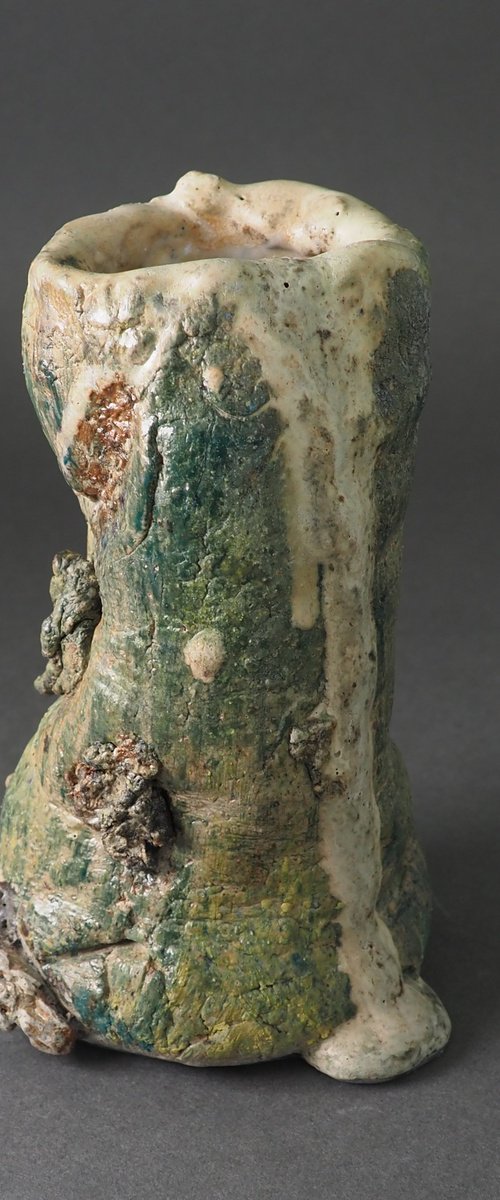 Frog Vessel by Linda Cares