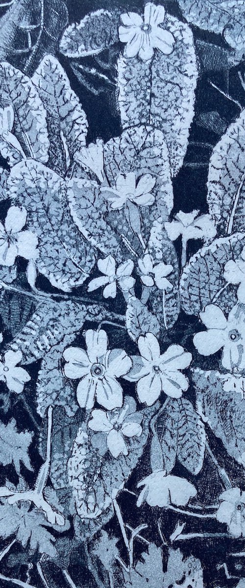 Primroses by Janis Goodman