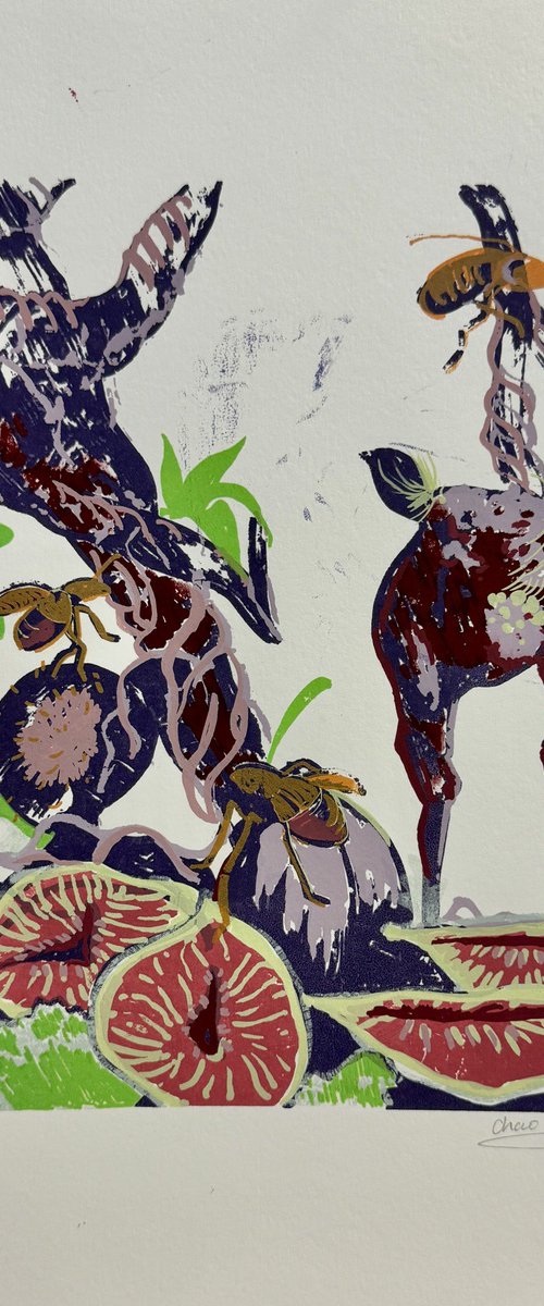 Figs and Insects by Chao Wang