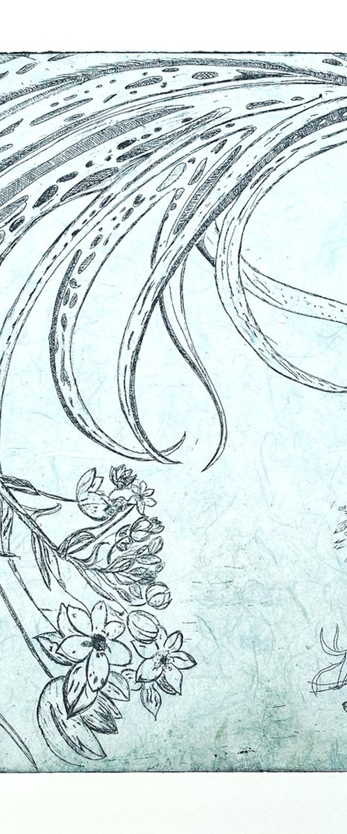 Starflower by Michelle Hinshelwood