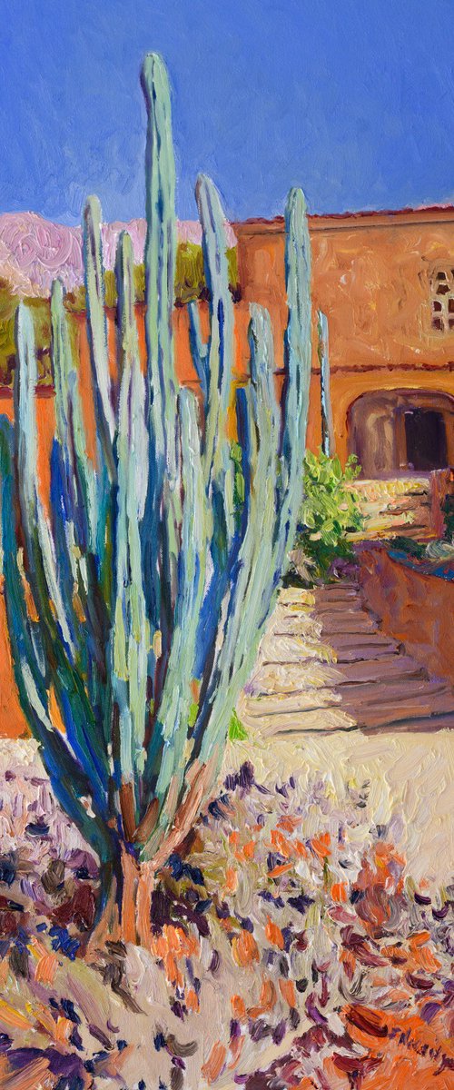 Cactus and House by Suren Nersisyan