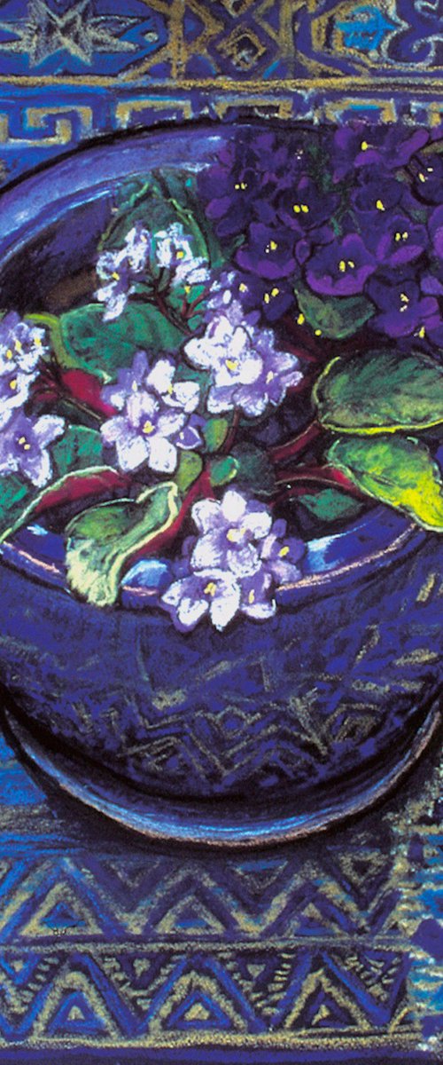 African Violets by Patricia Clements