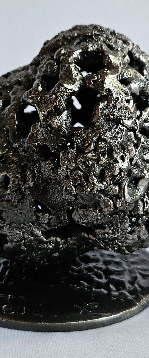 Ice age 16-24 by Philippe Buil