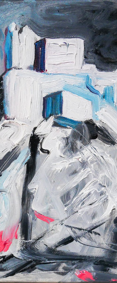 Cathar castle by Lionel Le Jeune