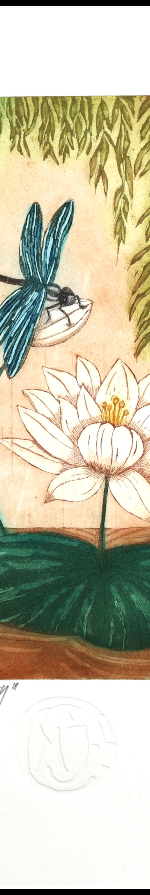 Natures outstanding Beauty by Mariann Johansen-Ellis