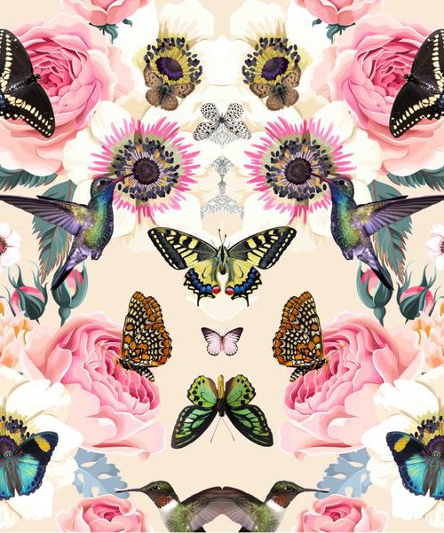 Ruby habitat by Sumit Mehndiratta