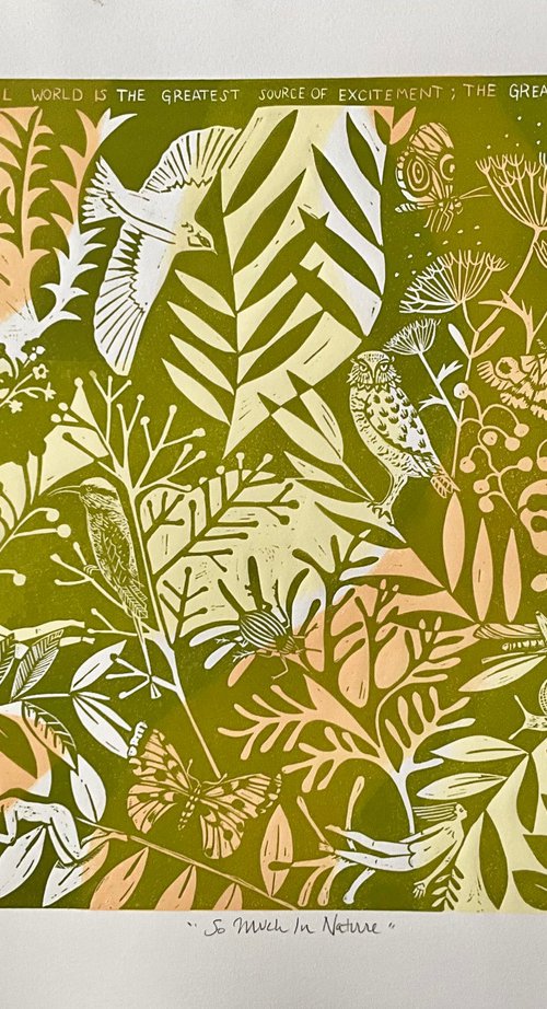 So Much In Nature by Alison  Headley