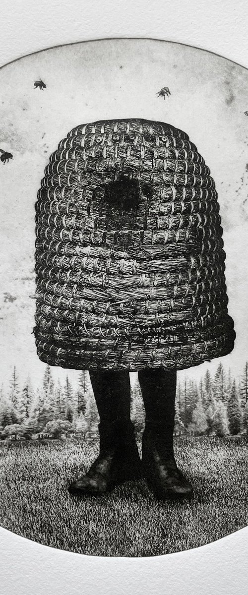 Hive No.3 by Jaco Putker