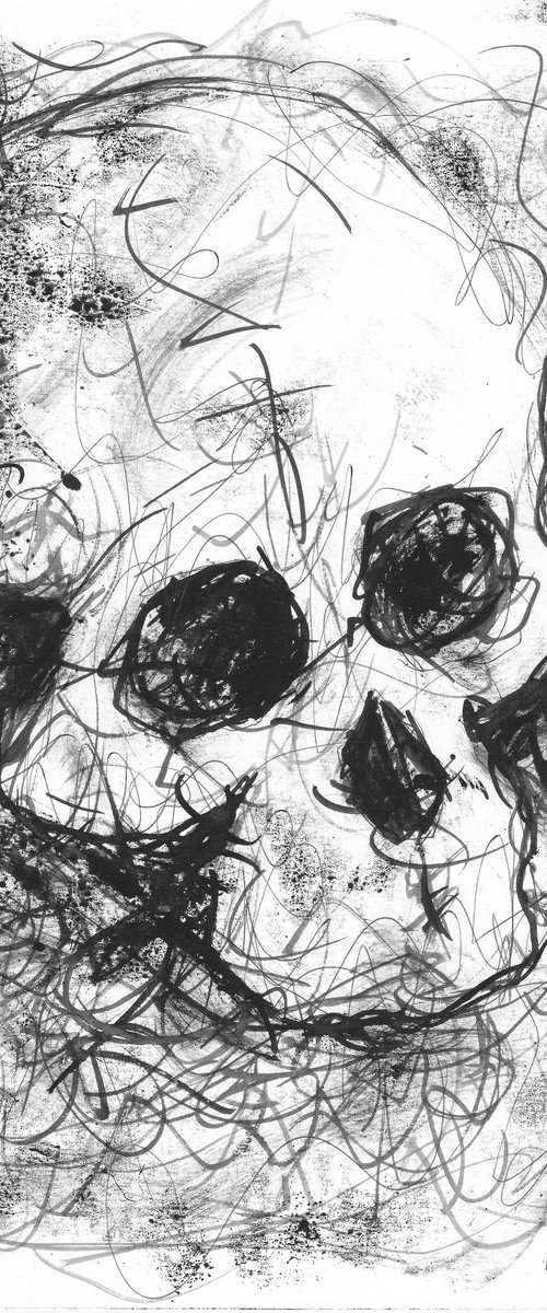 Skull by Lionel Le Jeune