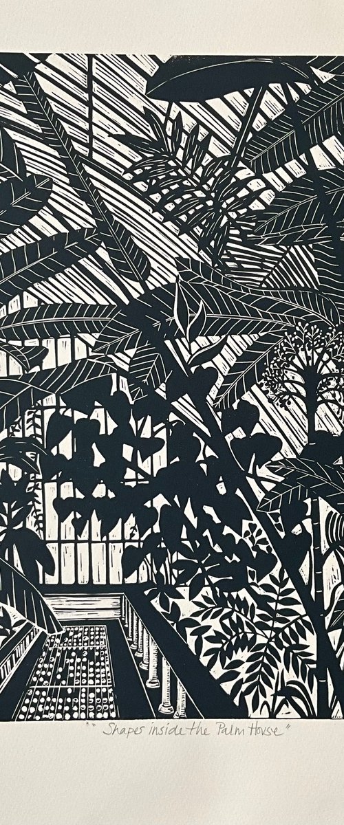 Shapes Inside the Palm House by Alison  Headley
