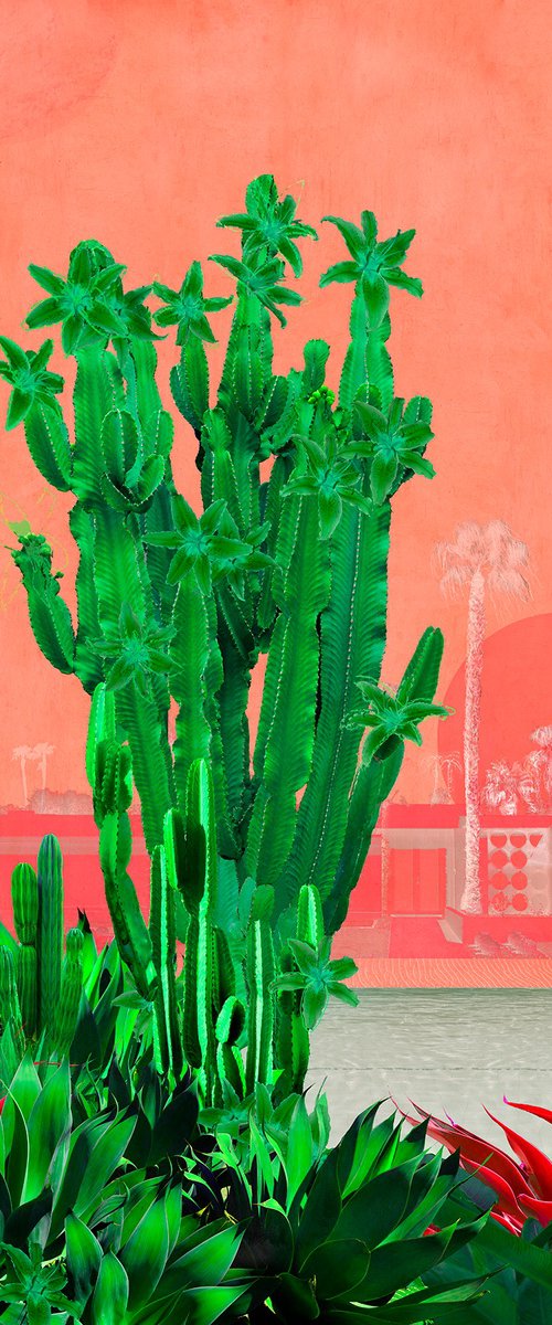 Cactus Club by Nadia Attura