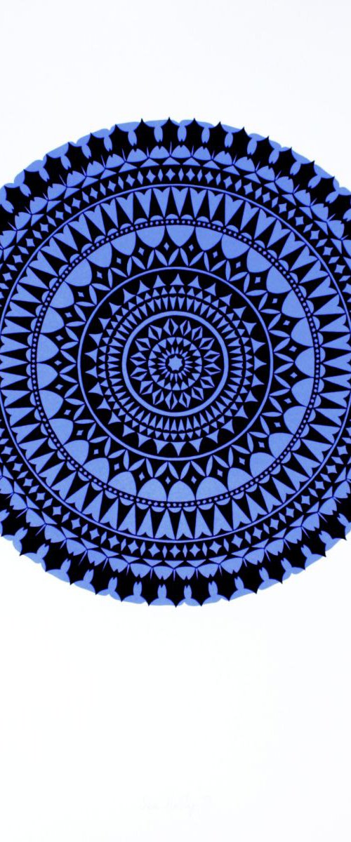 Sea Holly 2 by Kath Edwards