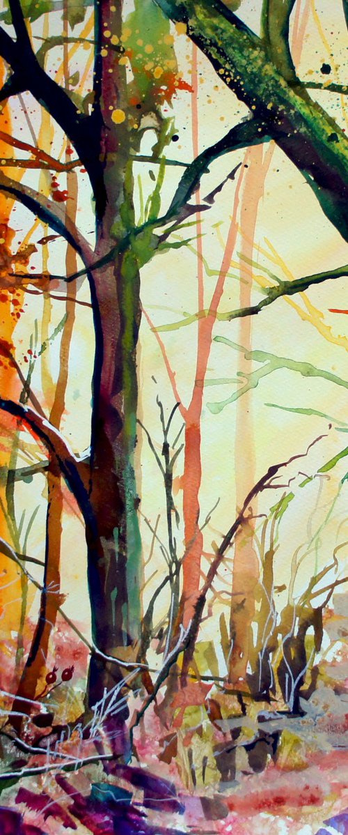 Autumn Light by Julia Rigby