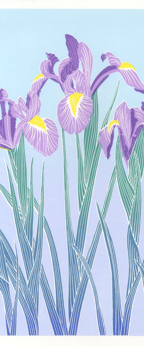 Irises by Louise Boulton
