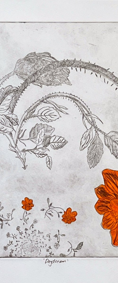 Daydream by Michelle Hinshelwood