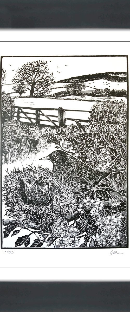 The blackbird's nest by Carolynne Coulson