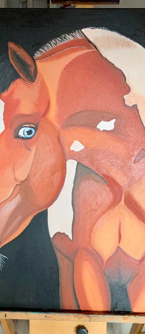 Horse with Blue Eyes - Giclee by Caroline Millott