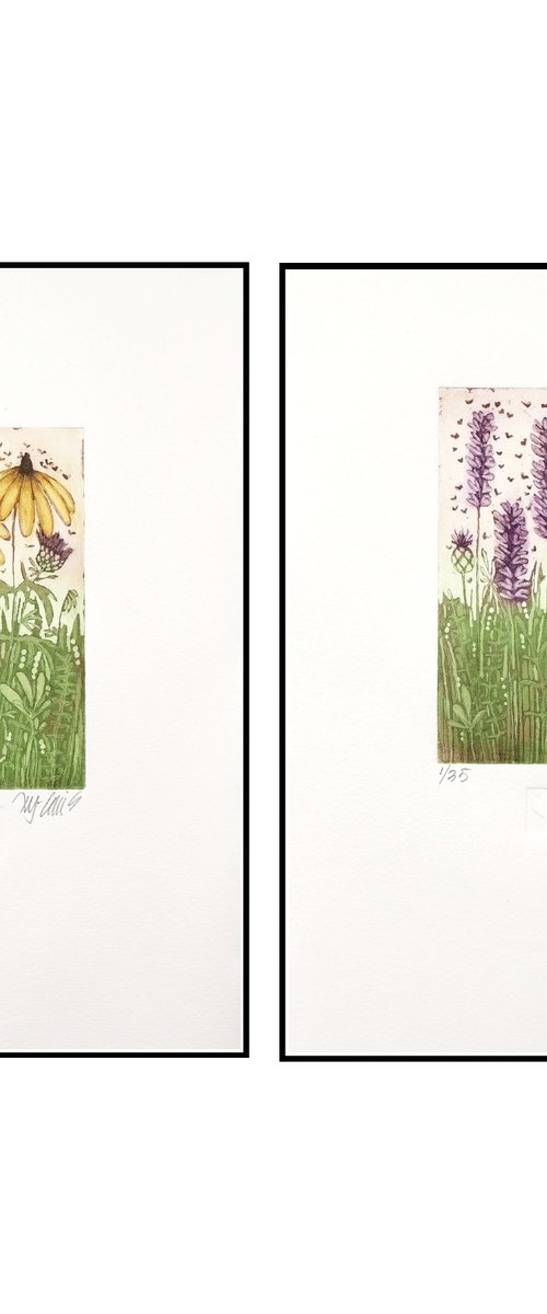 Lavender and Blackeyed Susan by Mariann Johansen-Ellis