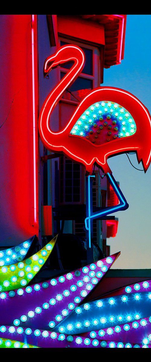 Neon Flamingo, Norfolk by Richard Heeps