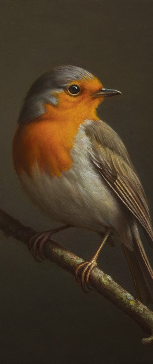 European Robin by Albert Kechyan