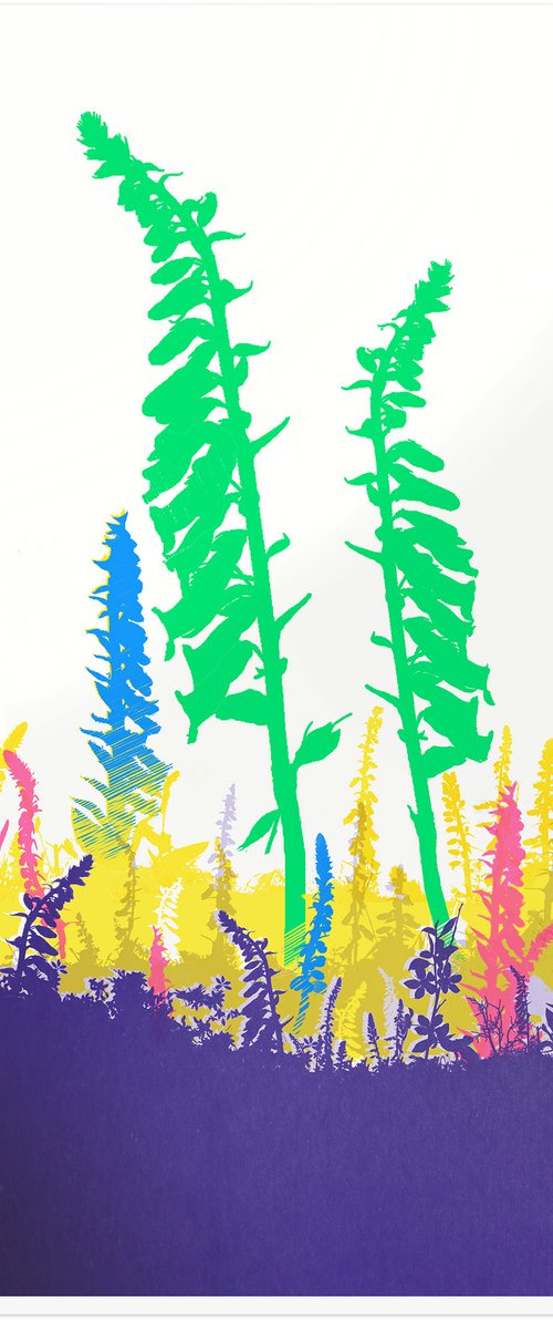 Foxglove by Chris Keegan