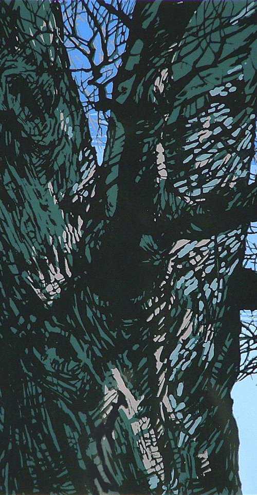 Black Oak by Rick Paller